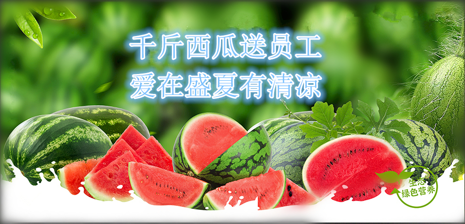 通達(dá)軟件公司： 千斤西瓜送員工，愛在盛夏有清涼